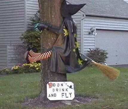 don't drink and fly witch smashed against a tree