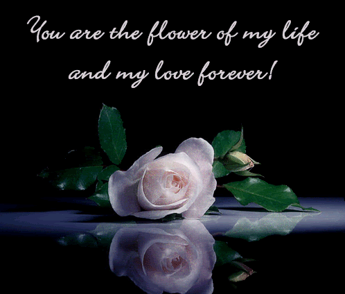 Love-Romance Comments Love Glitter Graphics I Love You Love Backgrounds Love Pictures Romantic Images Love Graphics For Myspace Orkut Friendster Hi5