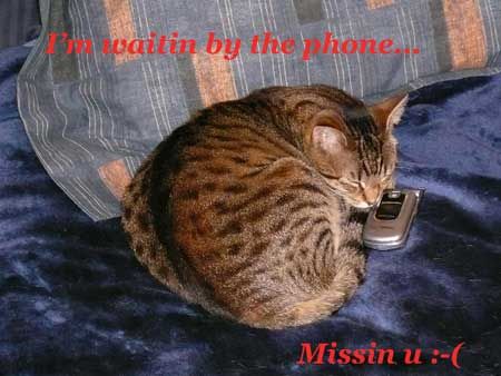 Missing You Comments I Miss You Comment Graphics Missing You Glitter Graphics Miss You Codes For Myspace Orkut Friendster Multiply Hi5 Websites Blogs