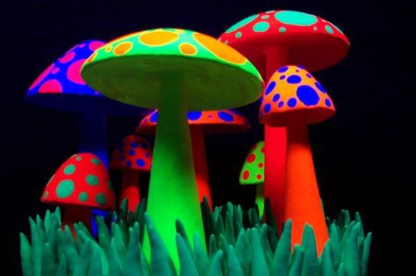 bright mushrooms