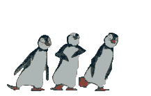 dancing penguins