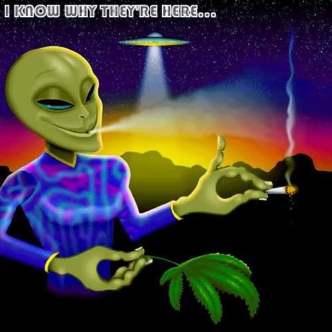 alien i know why they're here - weed