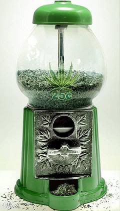 marijuana gumball machine - weed