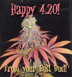 happy 420 from your best bud