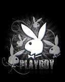playboy bunnies