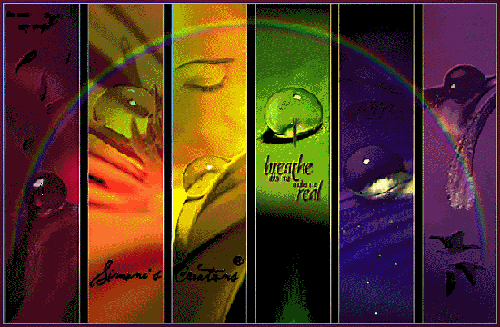 rainbow collage