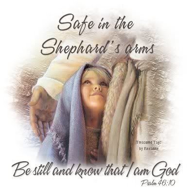 safe in the shepard's arms be still and know that i am god
