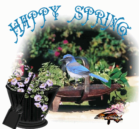 seasons spring wishing happy spring