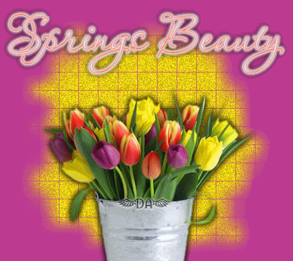 Spring Comments Springs Beauty Happy Spring Days Comment Graphics Spring Has Sprung Glitter Graphics Spring Codes For Myspace Orkut Friendster Multiply Hi5 Websites Blogs