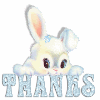 thanks bunny rabbit