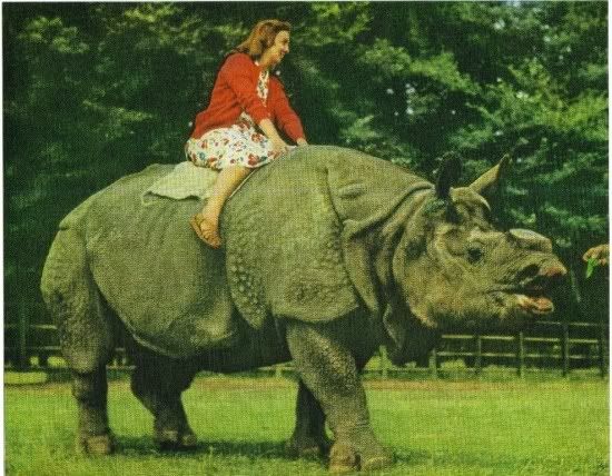 http://i240.photobucket.com/albums/ff245/python504285/Whipsnade-1953.jpg