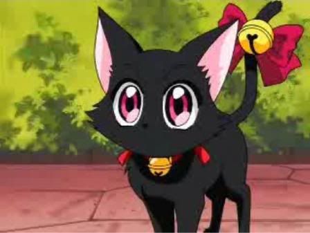 g2xb0n446891-02.jpg mew ichigo, cat image by bublegumqueen757