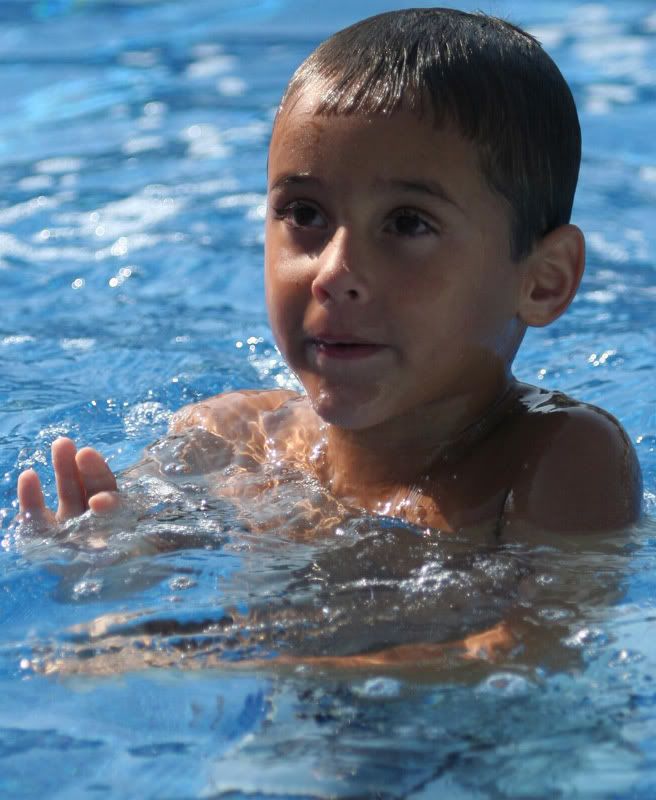 IMAGE: http://i240.photobucket.com/albums/ff250/68Whiskey/Forum%20Images/IMG_37902.jpg