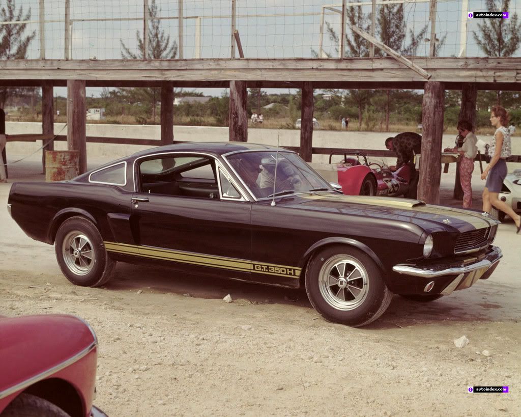 shelby_black_gt-350h.jpg