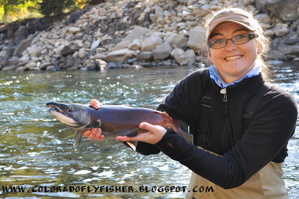 Politics And Flyfishing - Casting My Vote