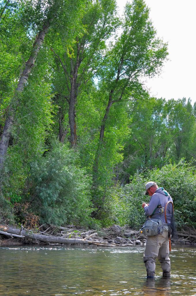 WHAT YOU NEED TO GET STARTED FLYFISHING