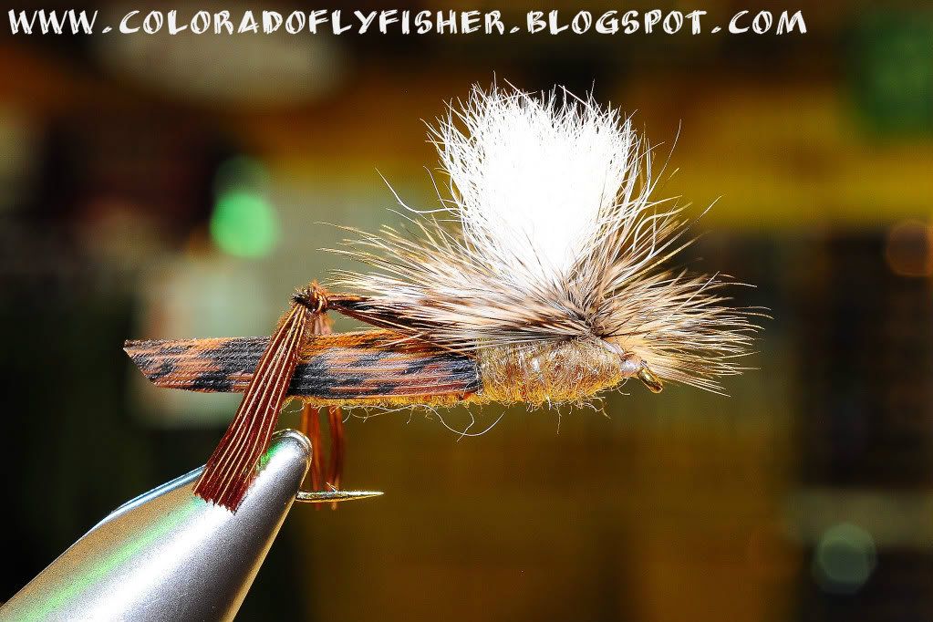 KLEIS'S TOP TEN MUST HAVE FLIES FOR SUCCESS IN COLORADO!