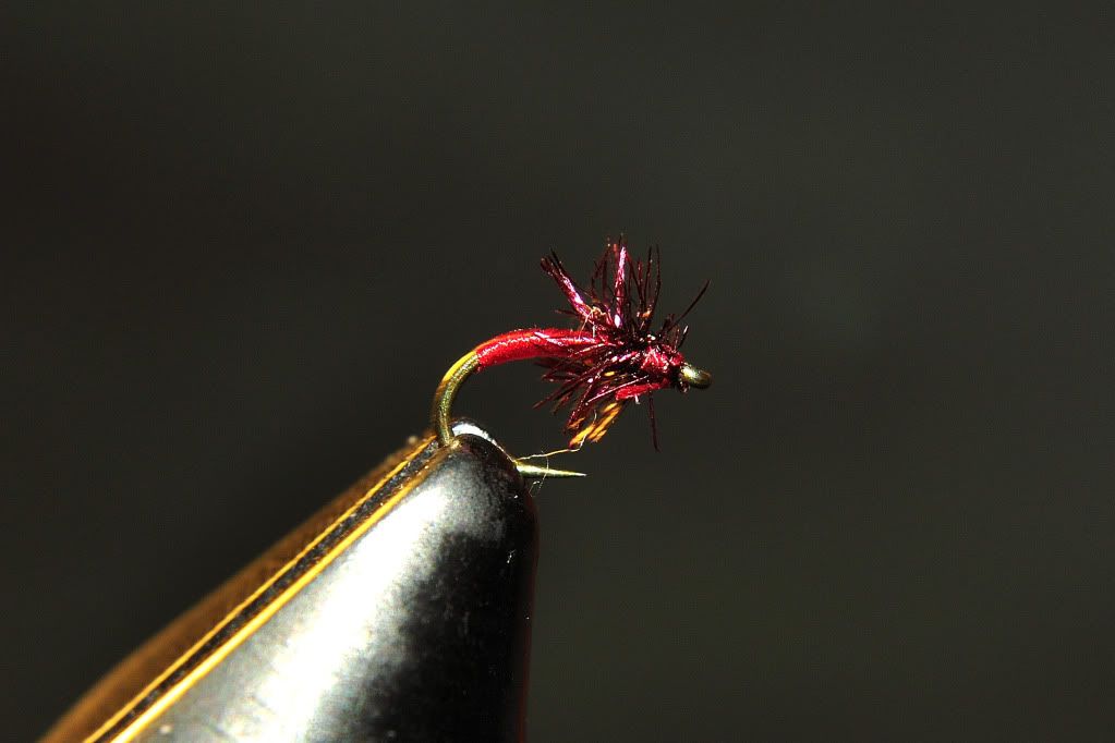 Kleis's Red Zone Midge