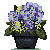 http://i240.photobucket.com/albums/ff252/Katara1990/blue_hydrenga_by_sincommonstitches-d7hzzjt_zpsguslrzvo.png