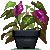http://i240.photobucket.com/albums/ff252/Katara1990/purple_anthurium_by_sincommonstitches-d7hzpzp_zpskh6dov9u.png