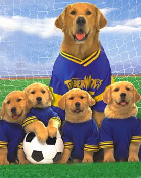 Air Bud Soccer