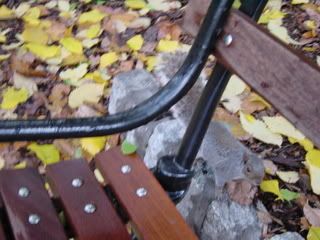 Squirrel By Bench