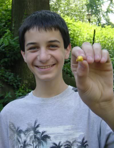 Boy holding a miniscule rubber chicken. Barely the size of a penny.