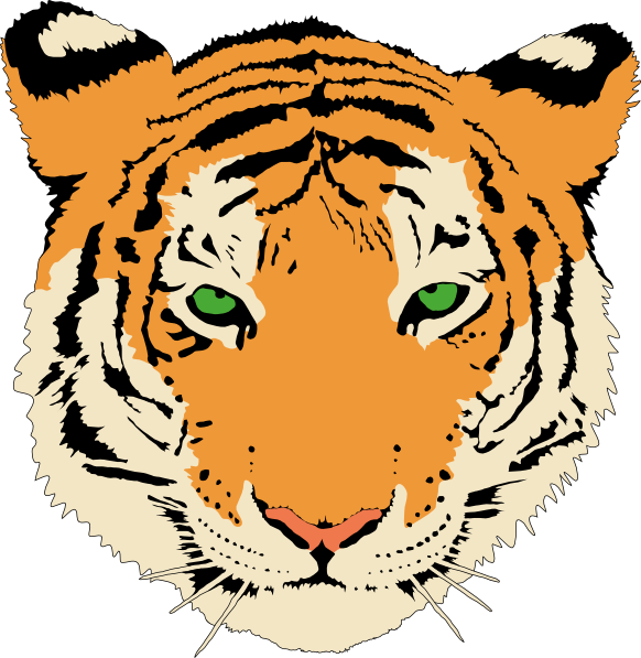 tiger face