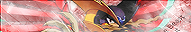 Megaman StarForce banner