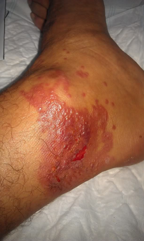 IMAG0136.jpg