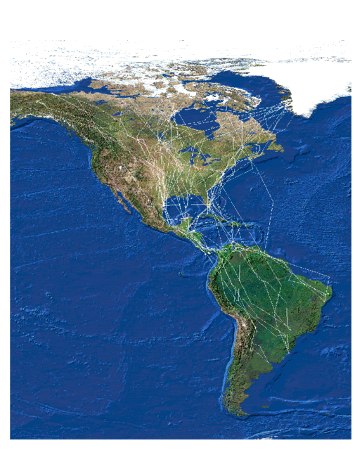 peregrine migration rtes