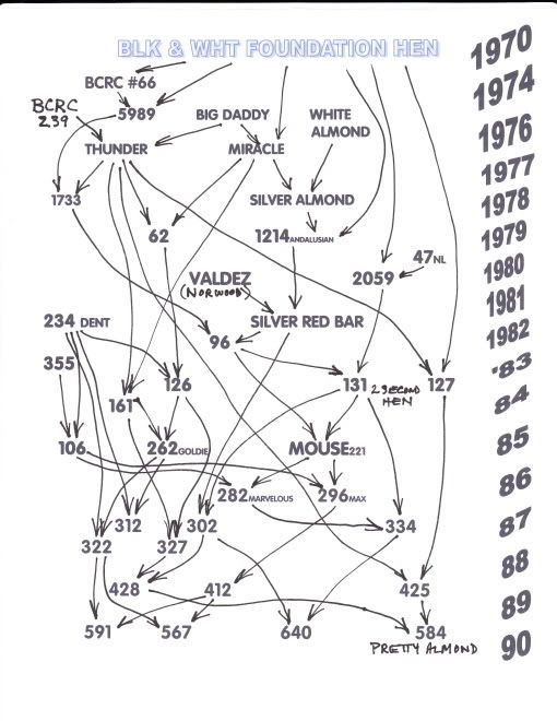 bloodline chart resz