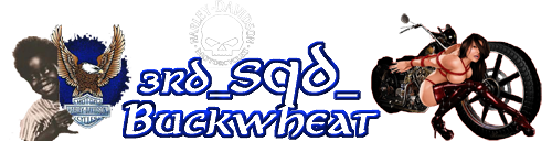 3rdbuckyb1.png