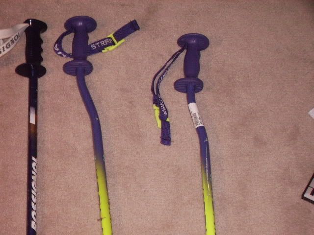 skipoles003.jpg