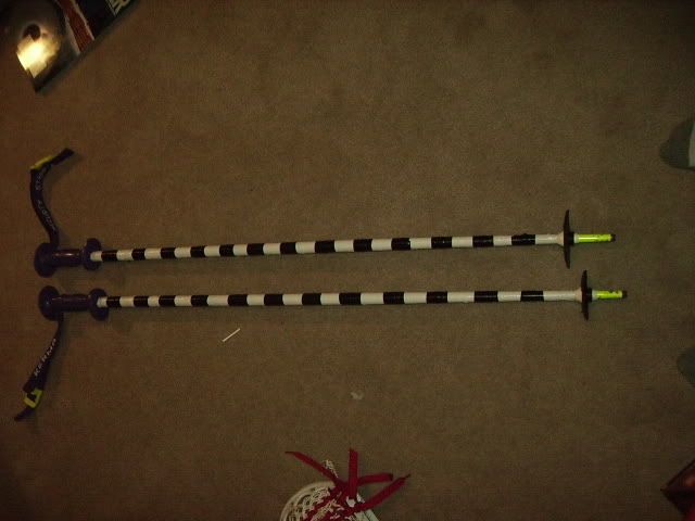 skipoles005.jpg