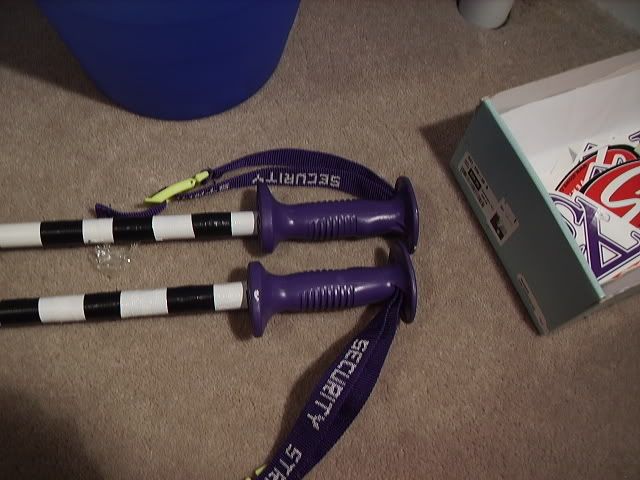 skipoles006.jpg