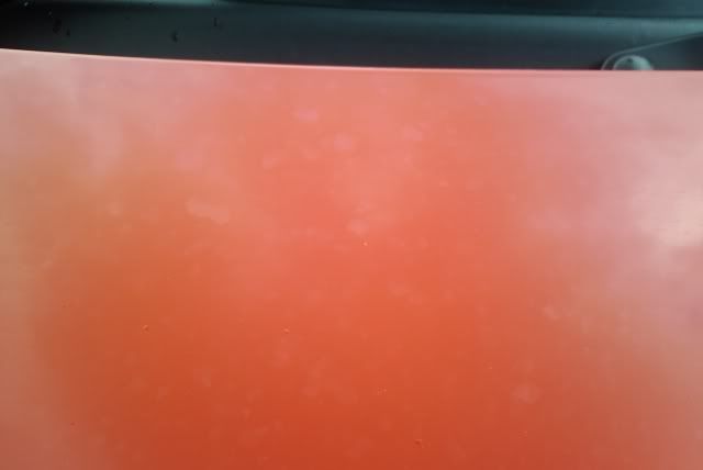IMAG0106.jpg