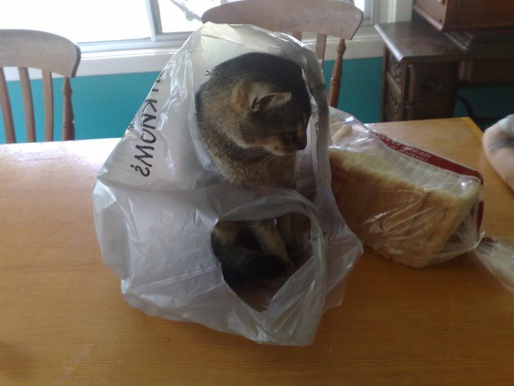 01012010143.jpg