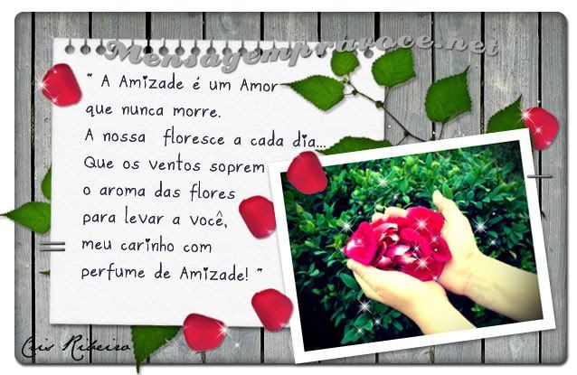 perfume-de-amizade.jpg