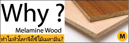 ทำไมทั่วโลกถึงใช้ไม้เมลามีน ?