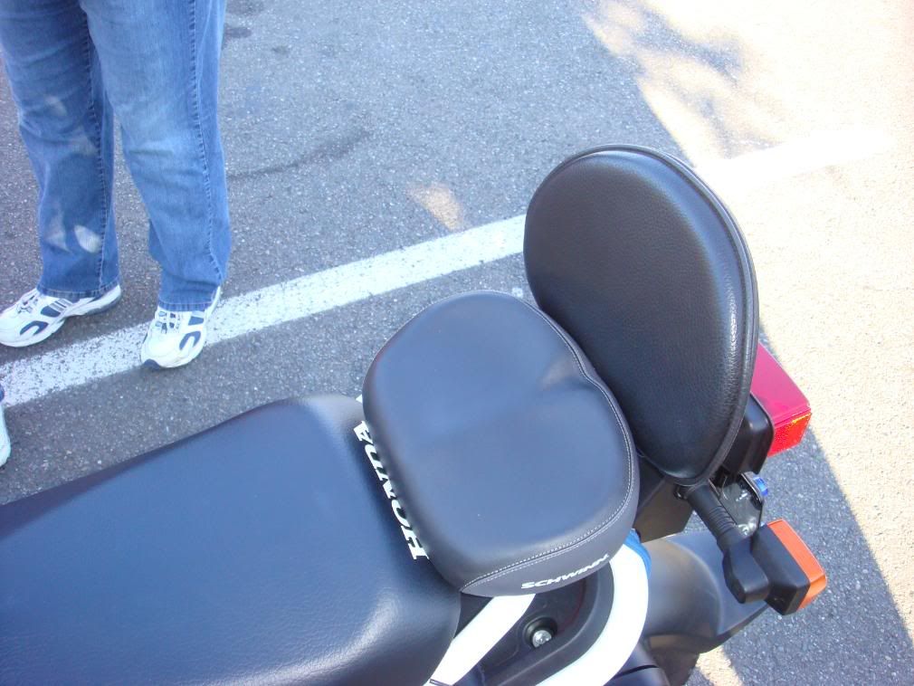 Honda ruckus buddy seat #3