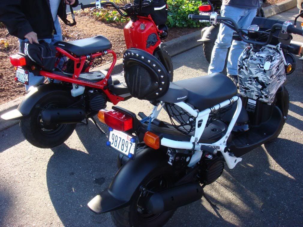 Honda ruckus buddy seat #7