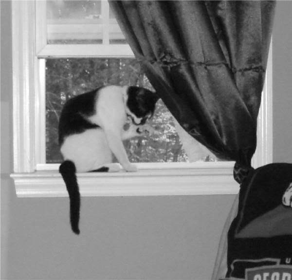 http://i240.photobucket.com/albums/ff65/beg_punkin/l_9d090d3316094f83ab13783f4b022d75.jpg