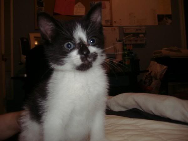 http://i240.photobucket.com/albums/ff65/beg_punkin/l_df352f54477e8c93f80a7a6ad9bb5093.jpg