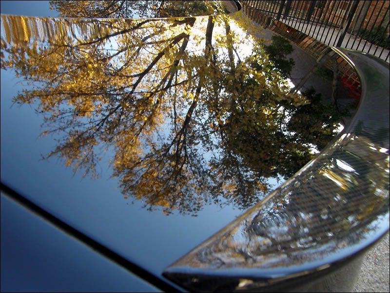 4c81700a.jpg