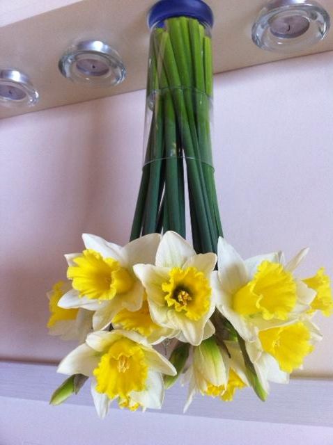 daffs_zpscbcf3f2c.jpg