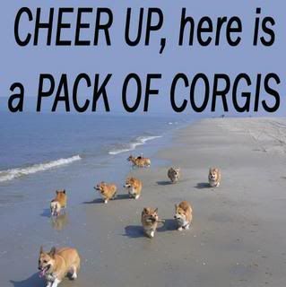 [Image: corgis.jpg]