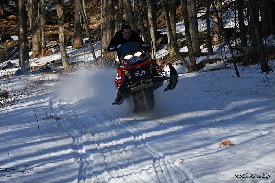 IMAGE: http://i240.photobucket.com/albums/ff80/killerblackbird/001-7.jpg