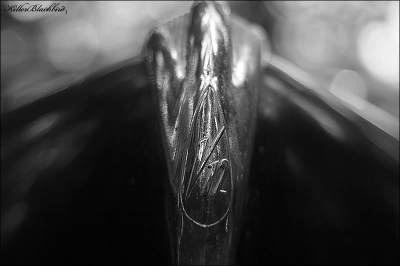 IMAGE: http://i240.photobucket.com/albums/ff80/killerblackbird/01BW.jpg