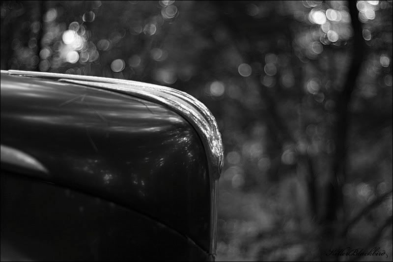 IMAGE: http://i240.photobucket.com/albums/ff80/killerblackbird/02BW.jpg